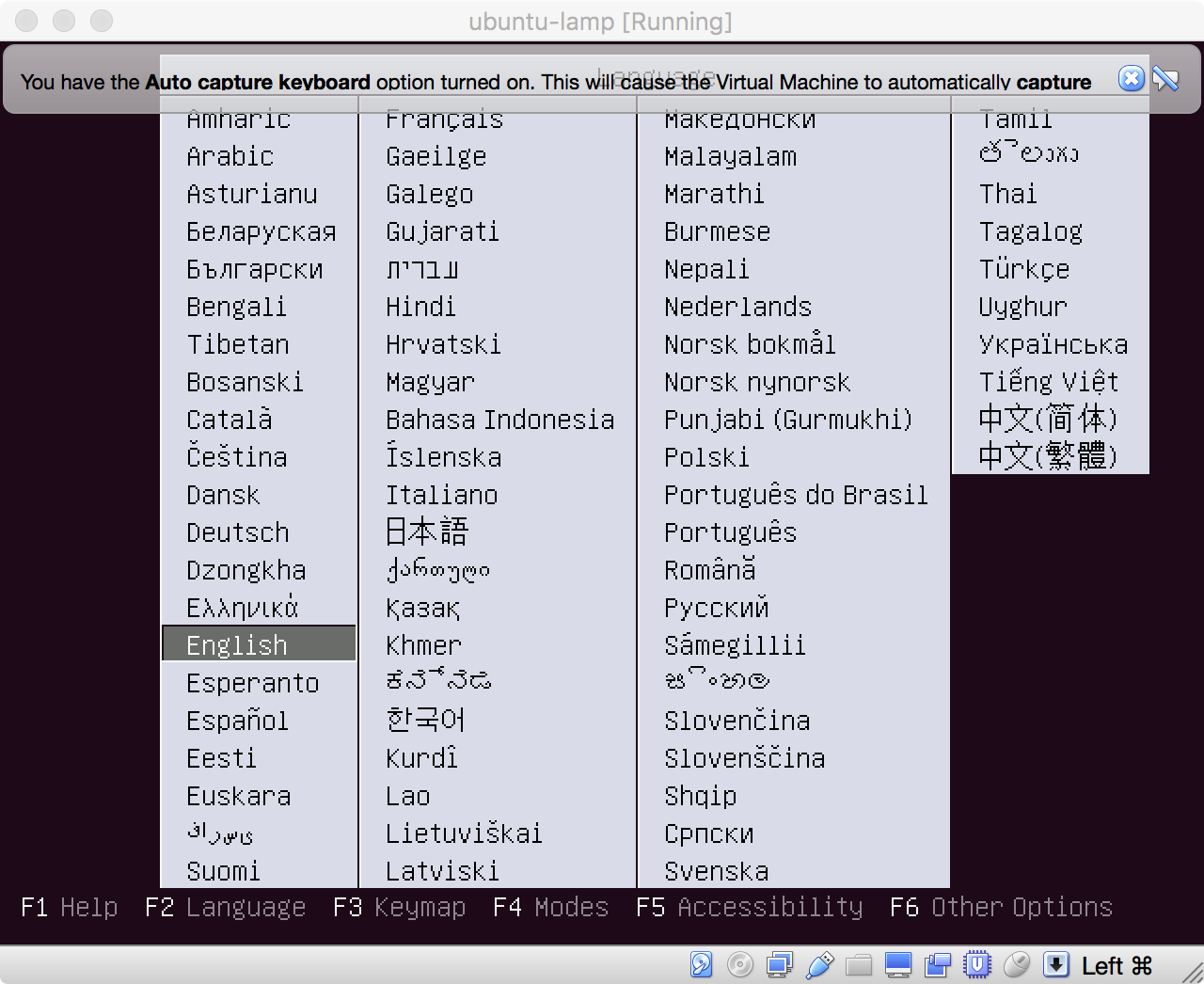 Start der Ubuntu-Installation - Auswahl der Sprache
