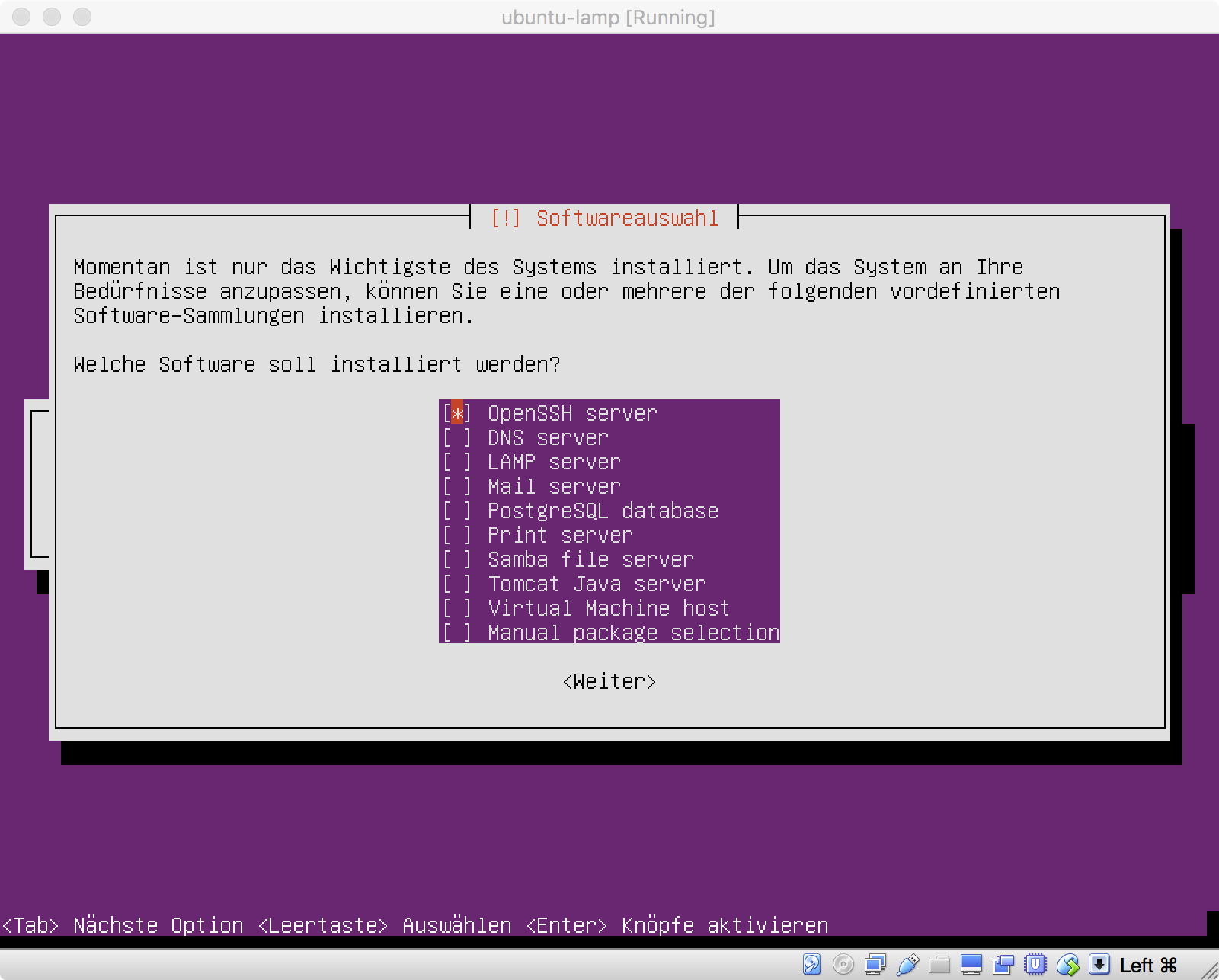 Ubuntu Installation - Software-Auswahl